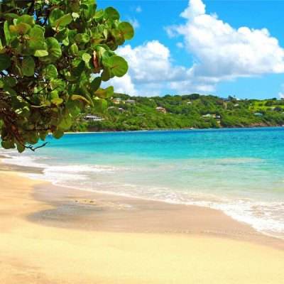 JN江南·体育注册