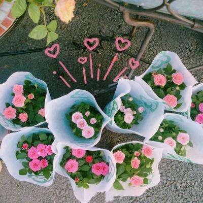 澳门人威尼斯3966手机app下载截图