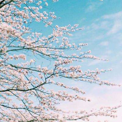 华体会登录(官方)APP下载app下载截图